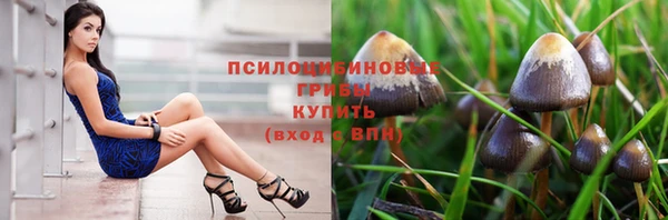 PSILOCYBIN Сатка